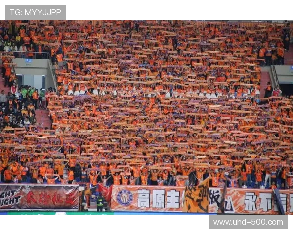 俱乐部场馆升级提升观赛体验，吸引更多球迷